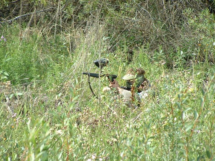 Hiding in the tall grass